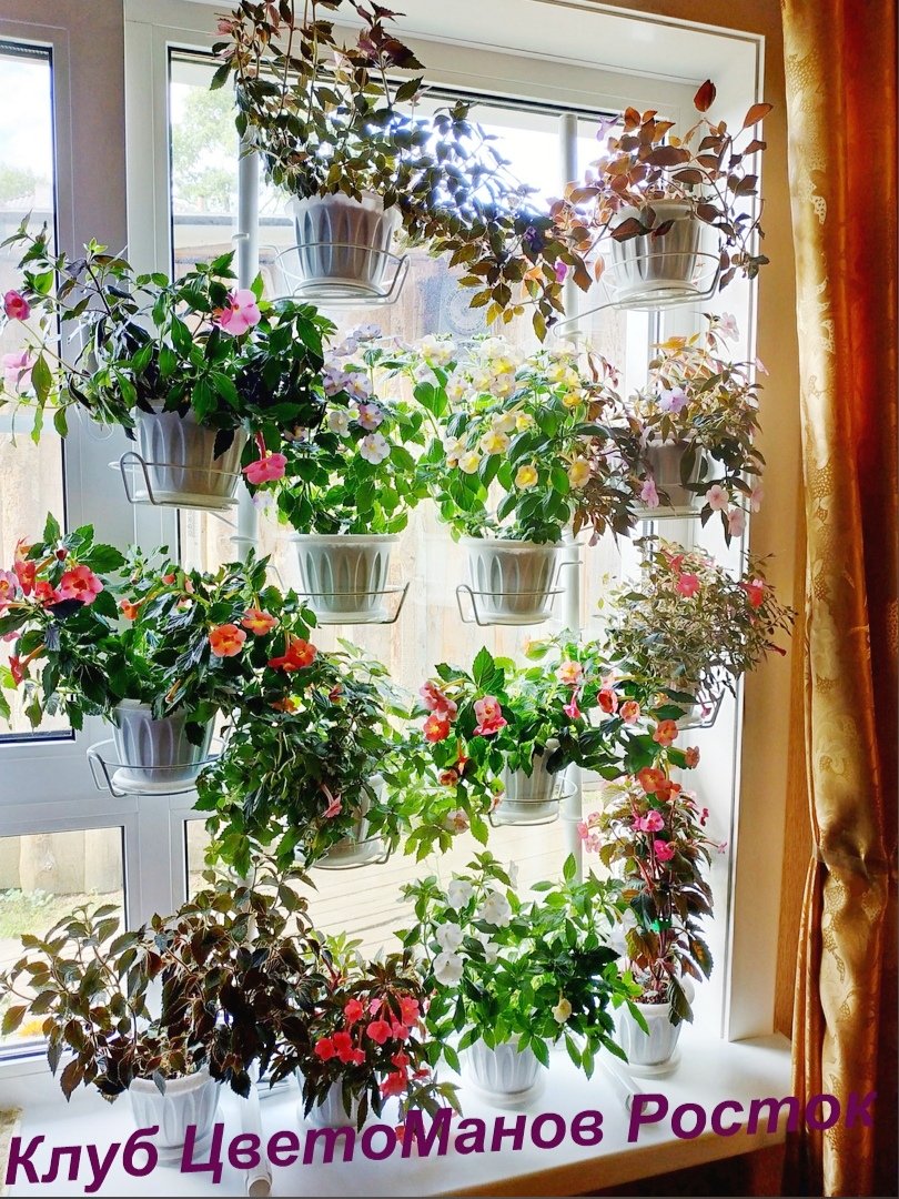 разборная подставка на пол и на окно металлическая. Фото N21