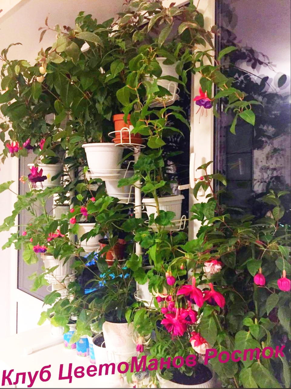 разборная подставка на пол и на окно металлическая. Фото N19